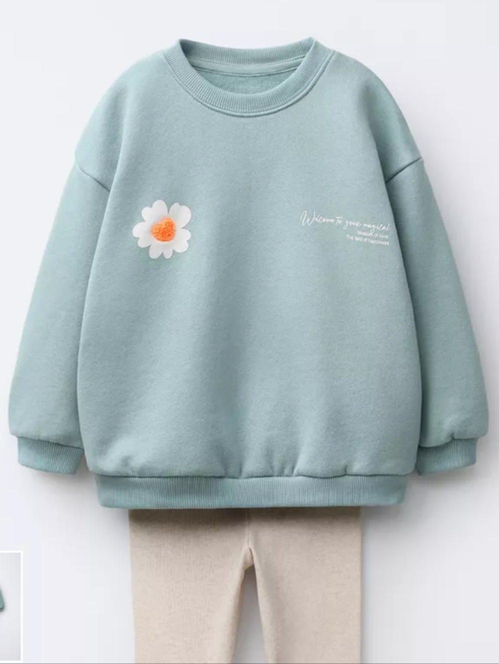 Zara Kids NWOT Adorable Fleece Sweatshirt In Sage Green Size 2T